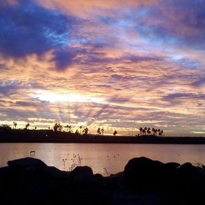 Meet your Posher, Diana